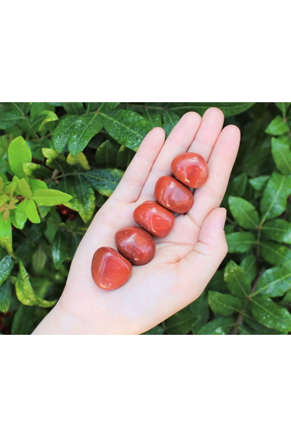 5 Medium Red Jasper Tumbled Stone Crystal Healing Gemstone Chakra
