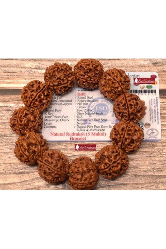 5 Mukhi Rudraksha Bracelet Nepal