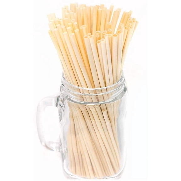 5" Natural Wheat Disposable Drinking Straws, Biodegradable BPA Free Eco-Friendly Organic (11000)