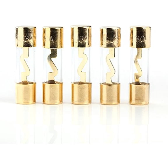 5 PCS AGU FUSE RELIABLE 30 amp FUSES GOLD PLATED