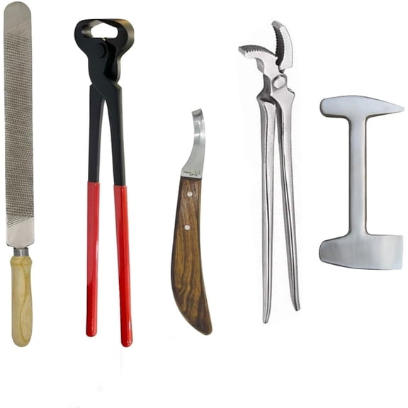Equinez Tools Farrier Horse Hoof Trimming Kit Heavy Duty Stainless Steel Nippers Rasp Knife 5 Piece