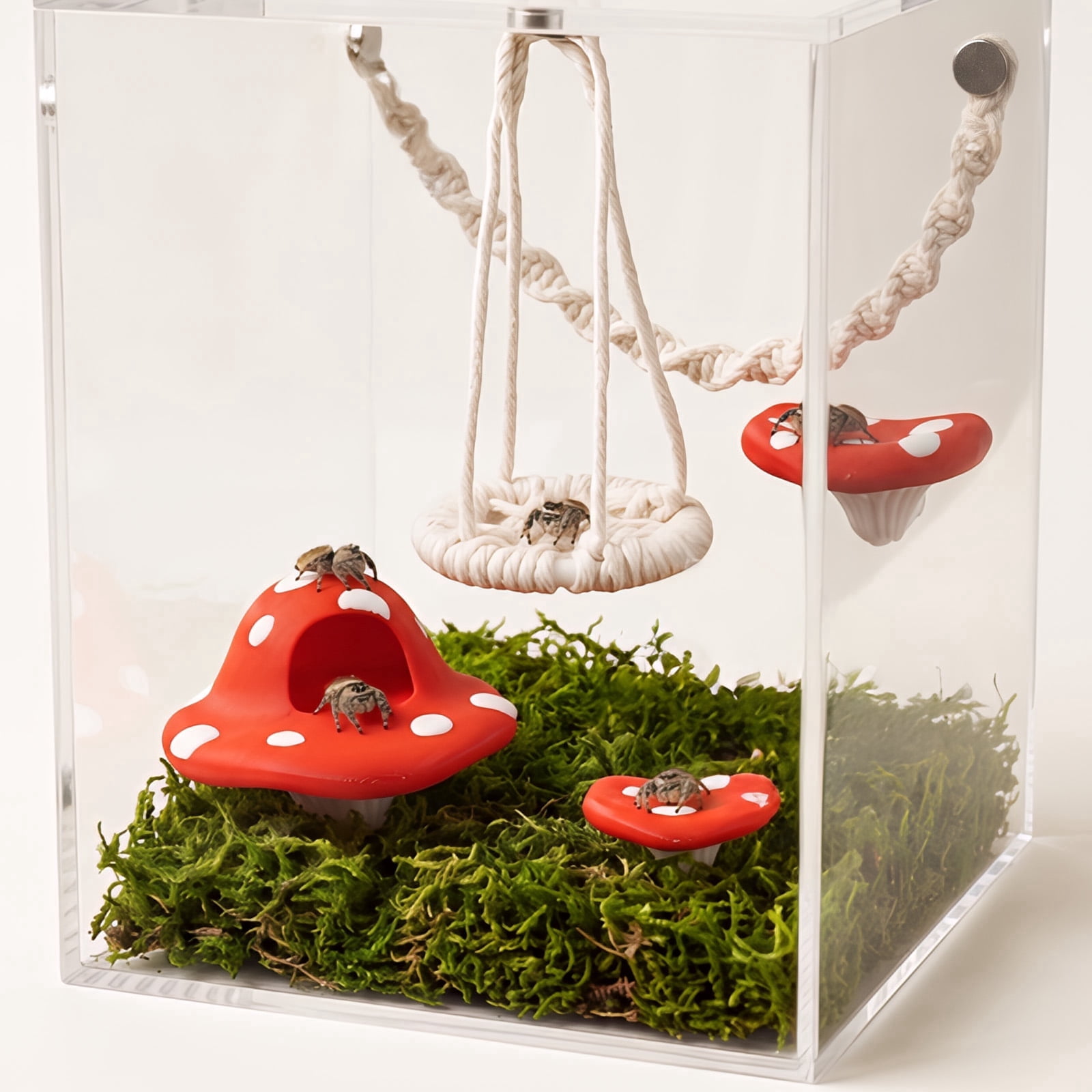 5 PCS Jumping Spider Accessories with Rope Bridge Swing Platform Swing ...