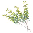 thumbnail image 1 of 5-Pack 13.39-Inch Green Artificial Berry Branches, Faux Green Berry Stems for Wedding Bouquets, Farmhouse Vases, Wreaths, Table Centerpieces, Home Decor and DIY Floral Arrangements, 1 of 7
