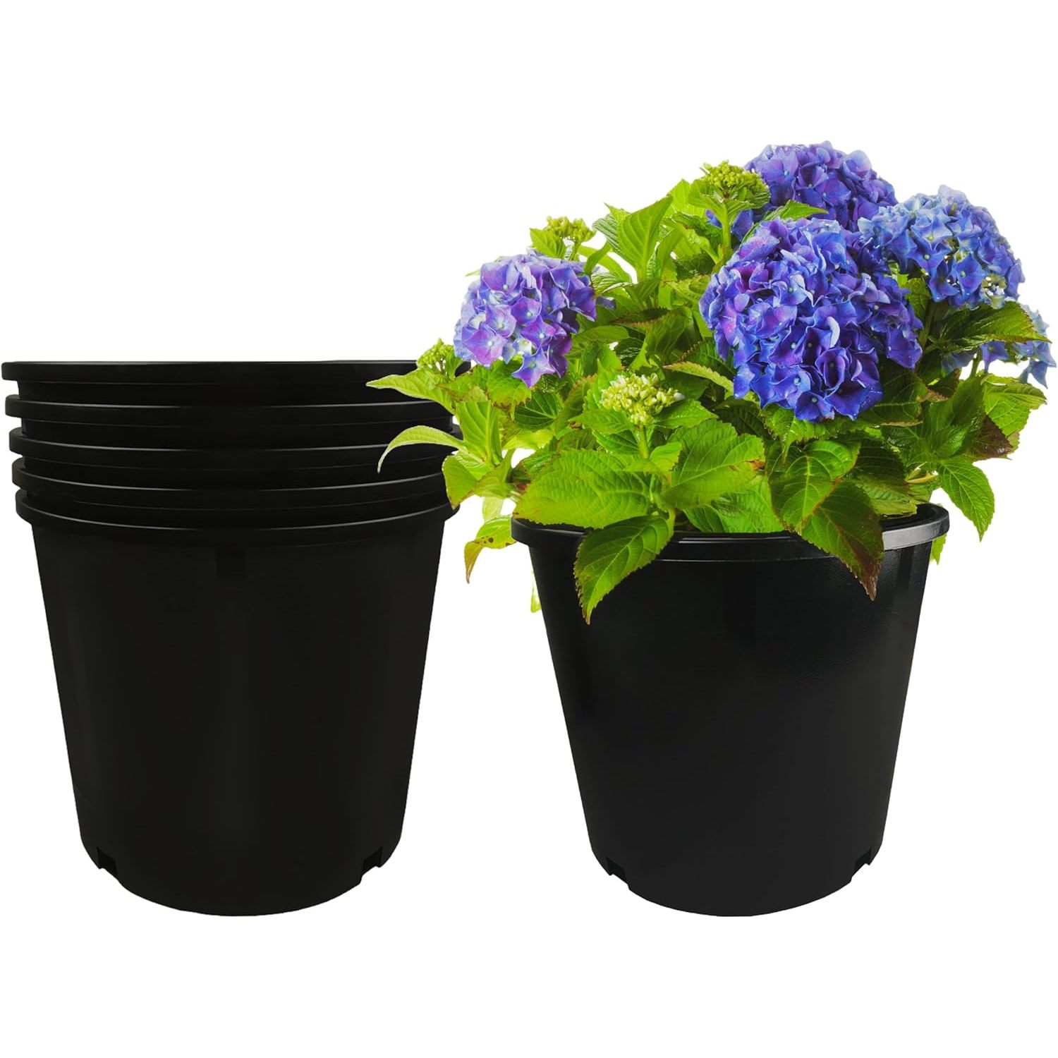 5-Pack 3 Gallon Premium Black Plastic Nursery Plant Container Garden ...