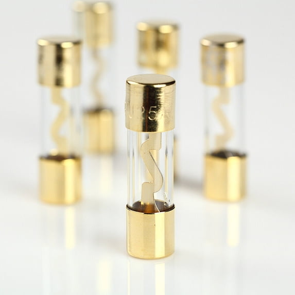 5 Pack 40 AMP Platinum Plated Fast-Blow Glass Car Audio AGU Fuse for Car Auto Marine Audio Stereo