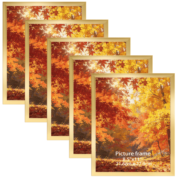 5 Pack 8.5x11 Picture Frame Certificate Frame Display Horizontal and Vertical for Wall and Tabletop, Gold