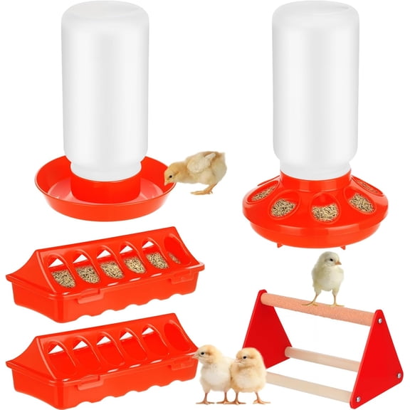5 Pack Chick Feeder and Waterer Set Plastic Baby Chicken Brooder Starter Kit with Chick Perch for Small Poultry Ducks Quail