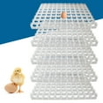 thumbnail image 1 of 5 Pack Egg Incubator Trays for 88 Eggs – Durable Plastic Replacement Trays for Automatic Hatchers, Perfect Fit 50×36×3 cm, 1 of 9