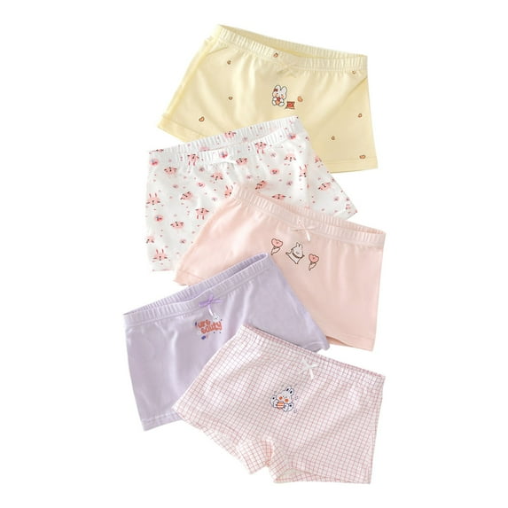 5 Pack Girls Boxer Briefs Size 10-12 Cotton Soft Underwear Elastic Cute Printed Comfort Toddler Kids Panty 10 Years
