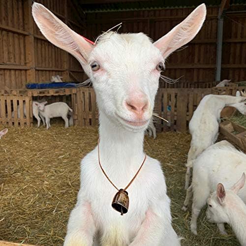 5 Pack Grazing Copper Bells, Metal Cow Bells for Dogs, Animal Copper Loud Bronze Bell, Small Brass Bell, for Cow Horse Sheep Cats Small Pets Anti-Theft Accessories (Red Bronze)