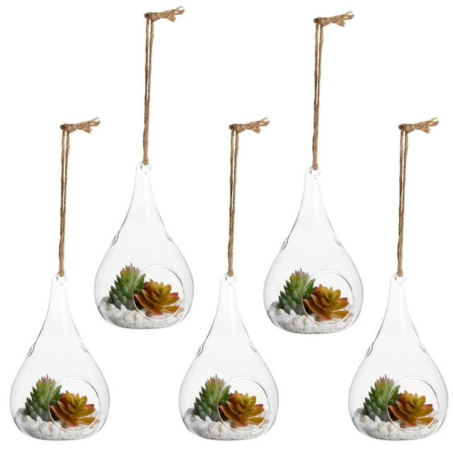 5Pack Hanging Glass Terrarium Containers Air Plant Holder, Succulent Planter, Tea Light
