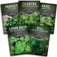 thumbnail image 1 of 5 Pack Herb Collection - Parsley, Cilantro, Basil, Lemon Balm, Dill - Full Sun Perennial, 1 of 8