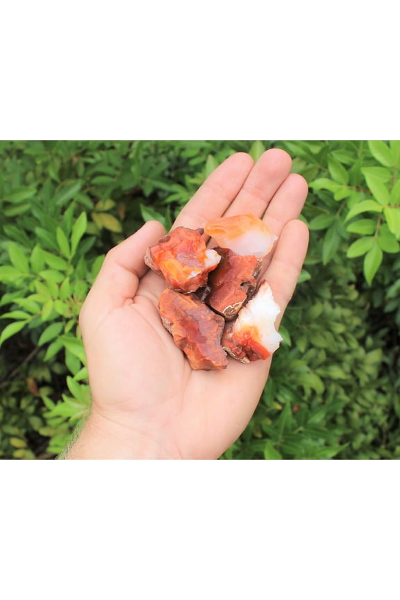 5 Pack Large Rough Natural Carnelian (Raw Stone Crystal Agate, MADAGASCAR)