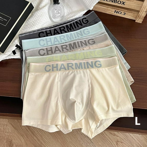 5-Pack Men’s Value Performance Stretch Boxer Brief Underwear,4 styles randomly matched