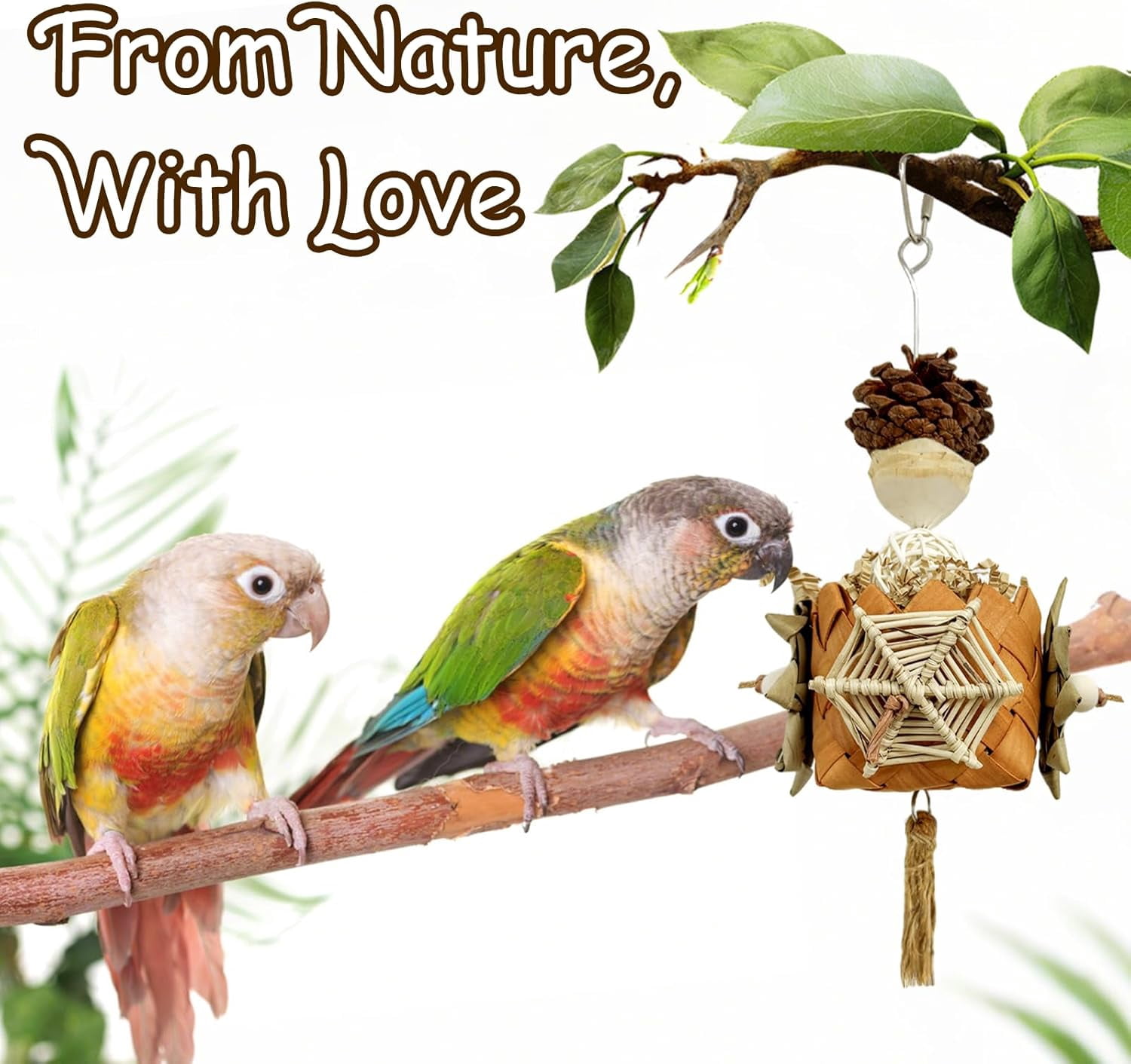 View of 5-Pack Natural Bird Toys - Hanging Foraging & Chewing Toys for ...