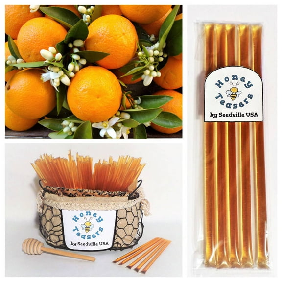 5 Pack ORANGE Blossom HONEY TEASERS Natural Honey Snack Sticks Honeystix Straws