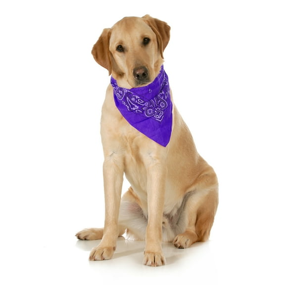 5-Pack Paisley Cotton Dog Scarf Triangle Bibs  - XL and Washable (Purple)