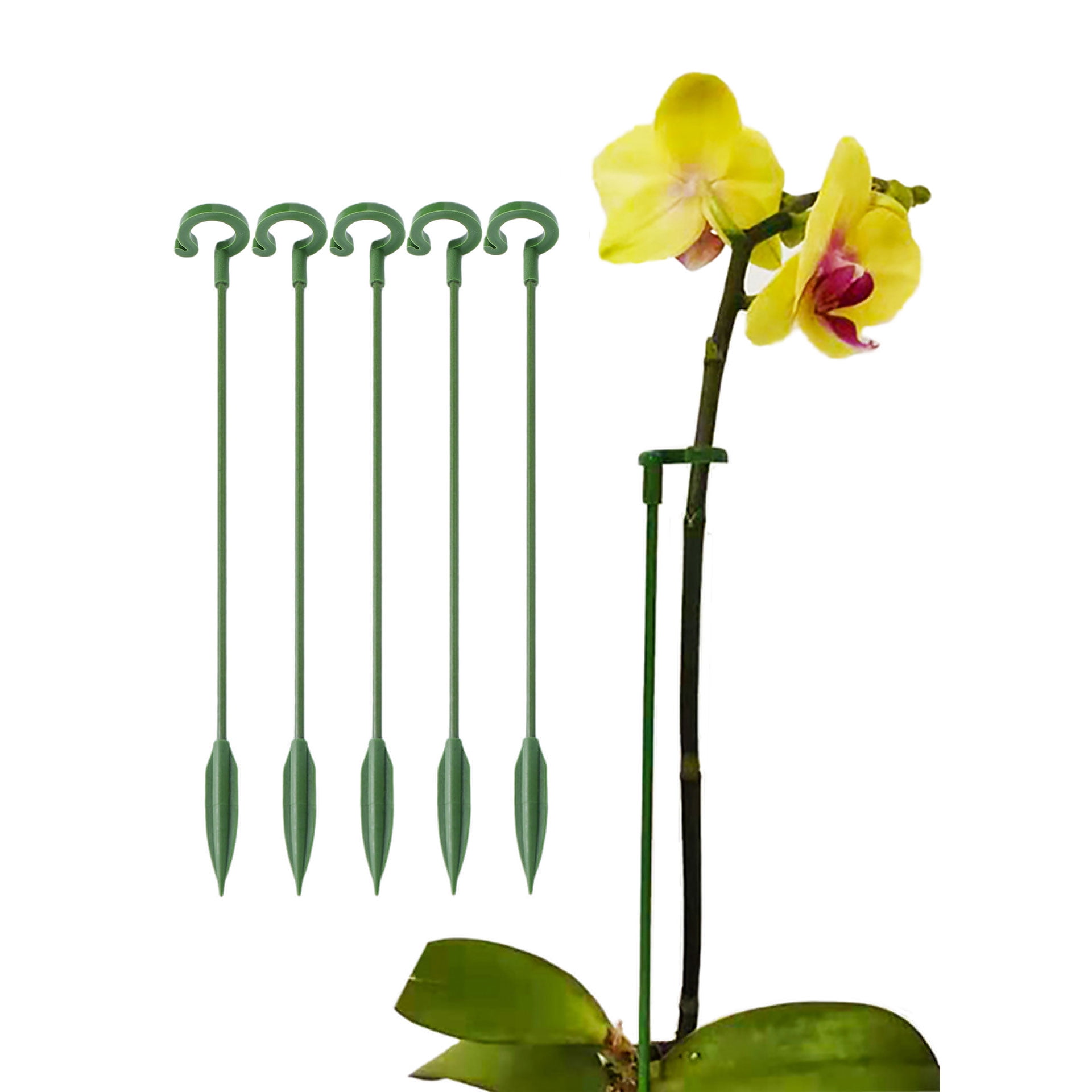 5 Pack Plant Supports Set Plant Stakes for Flowers, Metal Single Stem