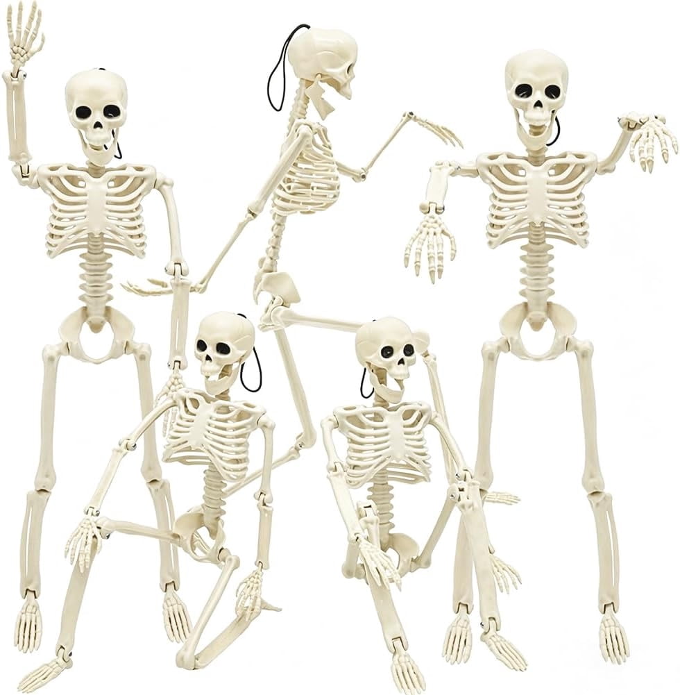 5 Pack Posable Skeleton Decorations with Movable Joints for Halloween Party