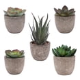 thumbnail image 1 of 5 Pack Potted Fake Succulents Pot Artificial Simulation Plants Sets for Home Kitchen Garden Office Wedding Party Room Decor Gift, 1 of 9