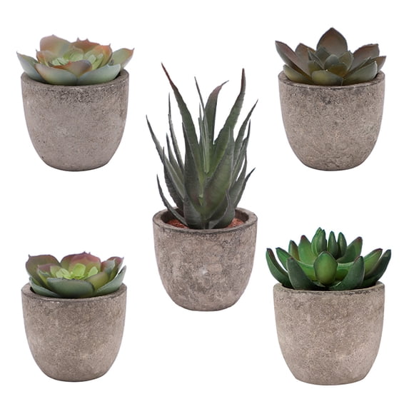 5 Pack Potted Fake Succulents Pot Artificial Simulation Plants Sets for Home Kitchen Garden Office Wedding Party Room Decor Gift