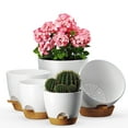 thumbnail image 1 of 5 Pack Self Watering Plant Pots, Indoor Flower Pots with Drainage & Saucers, Plastic Self Watering Planter for Indoor Outdoor Plants, Flower Pots for Indoor Plants 7/6.5/6/5.5/5 inch (White), 1 of 6
