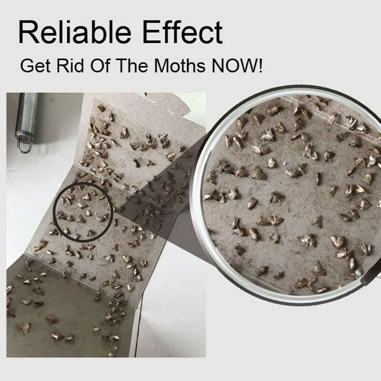 Pantry Moth Trap (5-Pack)