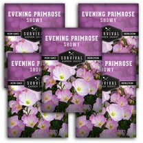 5 Pack Showy Evening Primrose Seeds - Pink Ladies - Perennial Full Sun Flower