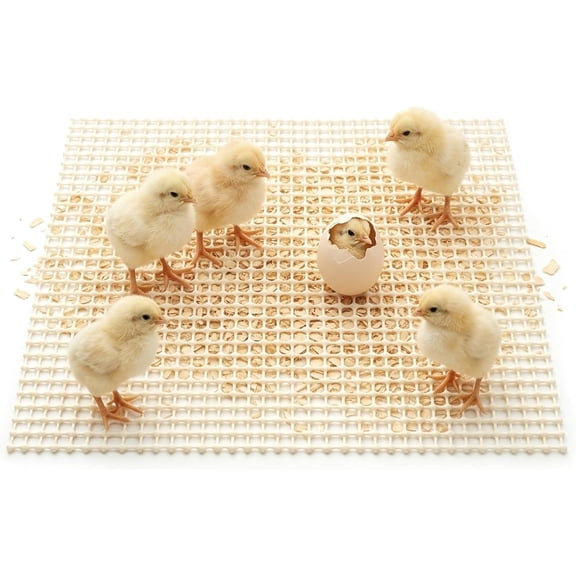 5 Pack Soft Latex Chick Brooder Pads, Hatchling Liner for Baby Chicks, Washable Non-Slip Bedding for Brooder Box, Nesting Box, Chicken Coop, Fits Ducklings, Baby Birds & Parrots, 16 x 24 Inch
