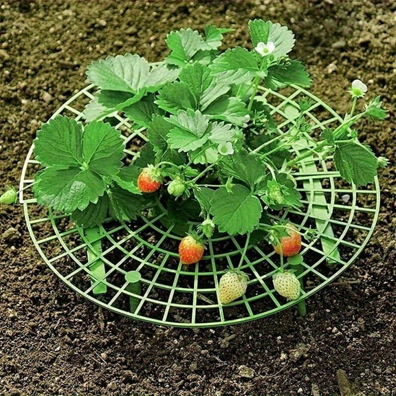5 Pack Strawberry Plant Support Stand with Breathable and Drainage Structure, Adjustable Growing Racks Frame, Strawberry Holder for Keeping Fruit Off Ground, Ideal for Garden & Balcony