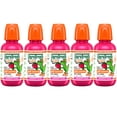 thumbnail image 1 of 5 Pack - TheraBreath Kids Mouthwash with Fluoride, Organic Strawberry Splash, Anticavity, 10 fl oz, 1 of 5