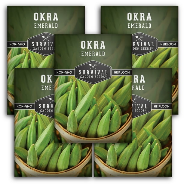 5 Packets Emerald Okra Seed NonGMO Heirloom Full Sun Annual