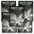 thumbnail image 1 of 5 Packets White Sage Seed for Planting - Non-GMO Heirloom Full Sun Perennial Herb, 1 of 9