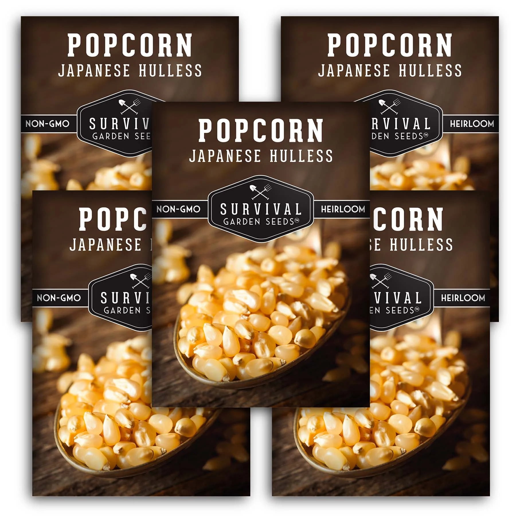 5 Packets of Japanese Hulless Popcorn Seed NonGMO Heirloom Full Sun Annual Vegetable