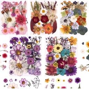 5 Packs of 140 Pressed Dried Flowers and Leaves Real Natural Dried Flowers with Tweezers for DIY Crafts, Resin Jewelry, Card Making, Soap, Candles, Nail Art, and Scrapbooking (5 Colors)