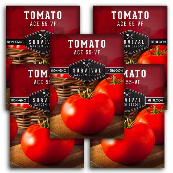 5 Packs Ace 55-VF Tomato Seeds - Non-GMO Heirloom Full Sun Annual Vegetable