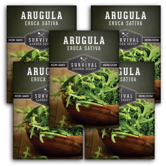 5 Packs Arugula - Heirloom Vegetable Seeds - Full Sun Biennial