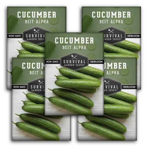 Beit Alpha Cucumber Seeds - Non-GMO Heirloom Full Sun Annual Vegetable - 5 Packs