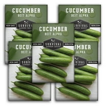 Beit Alpha Cucumber Seeds - Non-GMO Heirloom Full Sun Annual Vegetable - 5 Packs