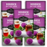 5 Packs Burdock Root Seeds - Non-GMO Heirloom Biennial Full Sun Herb