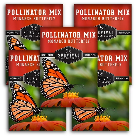 5 Packs Butterfly Pollinator Mix Seeds - Heirloom Flowers & Wildflowers - Perennial & More