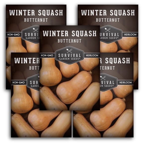 Butternut Winter Squash Vegetable Seeds (5 Pack) - Full Sun Annual