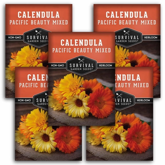 Calendula Pacific Beauty Mix Seeds - Heirloom Full Sun Annual Flower - 5 Packs
