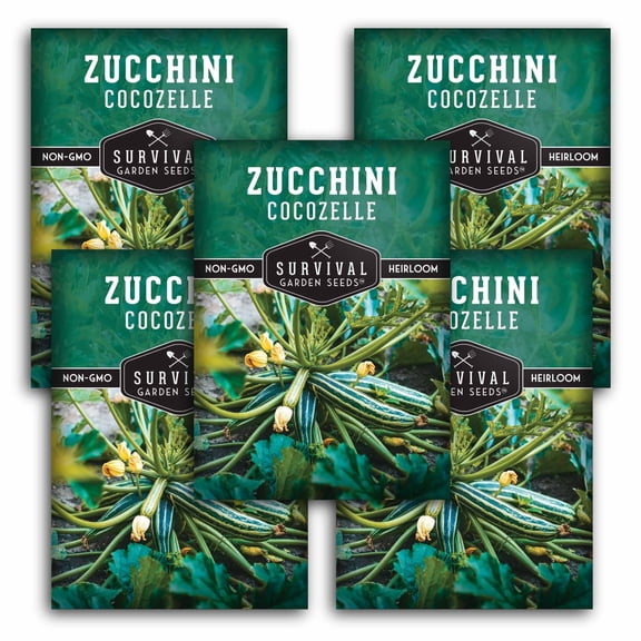 5 Packs Cocozelle Zucchini Seeds - Heirloom Full Sun Annual Vegetable