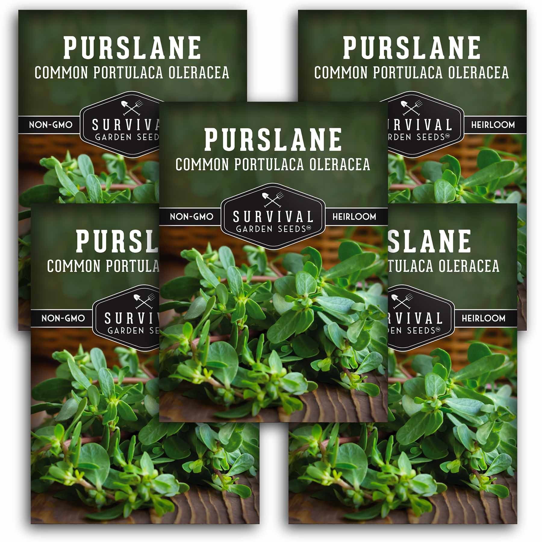 Common Purslane Seeds, 5 Packs, Edible Full Sun Annual Vegetable -  Walmart.com