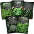 thumbnail image 1 of Cool Weather Vegetable Seeds 5 V ariety Pack - Spinach Kale Cilantro Broccoli Lettuce - Full Sun Annual, 1 of 7