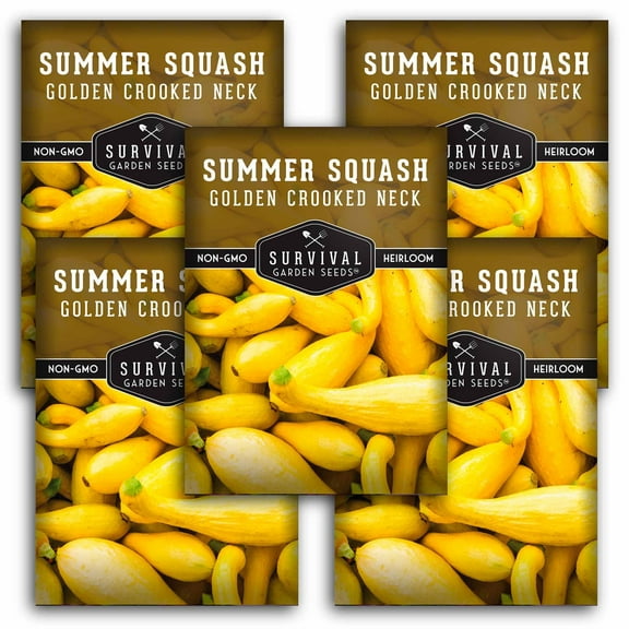 5 Packs Crookneck Squash Seeds - Yellow Crooked Neck Summer Squash - Non-GMO Heirloom Annual Full Sun