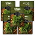 thumbnail image 1 of 5 Packs Curled Chervil Seeds - Non-GMO Heirloom Annual Partial Shade Herb, 1 of 6