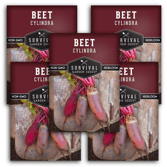 5 Packs Cylindra Red Beet Seeds - Non-GMO Heirloom Full Sun Biennial Vegetable