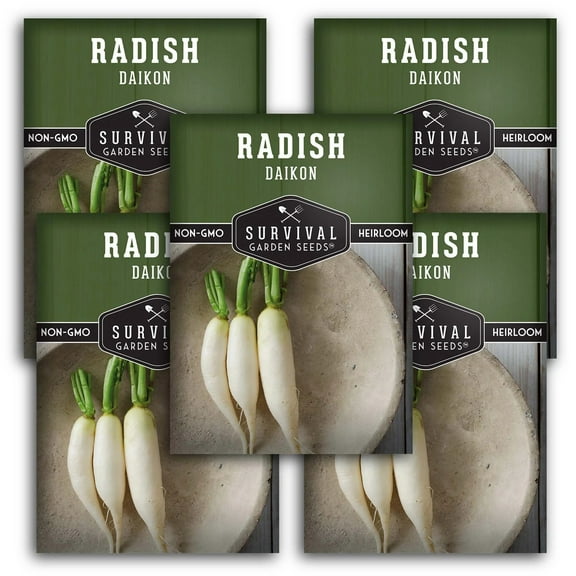 5 packs Daikon Radish Seeds - Non-GMO Heirloom Full Sun Biennial Vegetable
